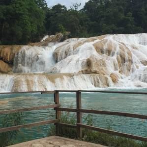 Meet your Posher, Isabel